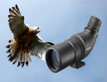 Load image into Gallery viewer, 【48% OFF】Compact size monocular MINOX MD 50W Portable (16 to 30 times free switching)